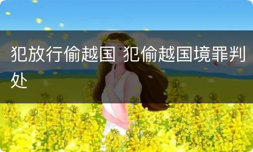 犯放行偷越国 犯偷越国境罪判处