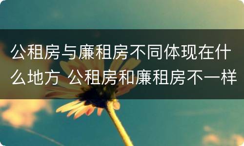 公租房与廉租房不同体现在什么地方 公租房和廉租房不一样吗