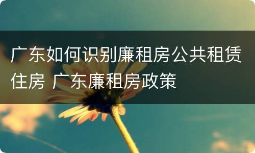 广东如何识别廉租房公共租赁住房 广东廉租房政策