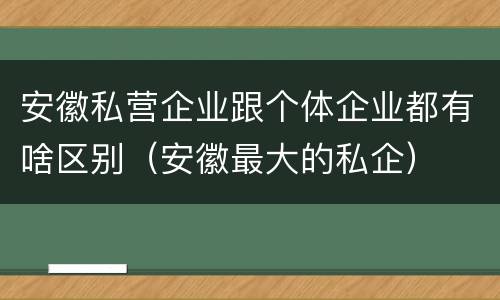 安徽私营企业跟个体企业都有啥区别（安徽最大的私企）