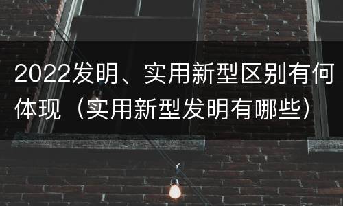 2022发明、实用新型区别有何体现（实用新型发明有哪些）