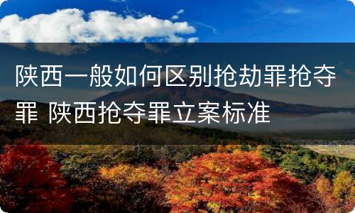 陕西一般如何区别抢劫罪抢夺罪 陕西抢夺罪立案标准