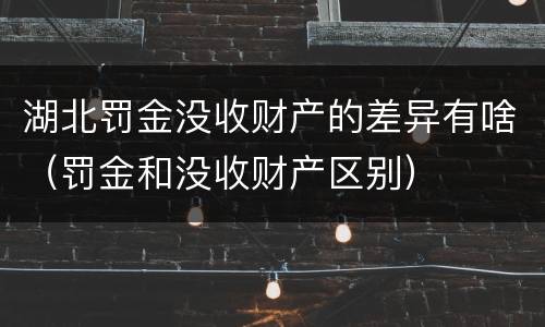 湖北罚金没收财产的差异有啥（罚金和没收财产区别）