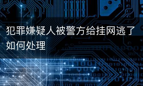 犯罪嫌疑人被警方给挂网逃了如何处理