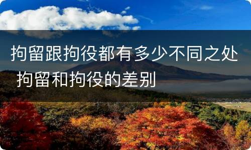 拘留跟拘役都有多少不同之处 拘留和拘役的差别