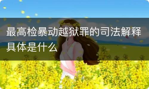 最高检暴动越狱罪的司法解释具体是什么