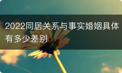 2022同居关系与事实婚姻具体有多少差别