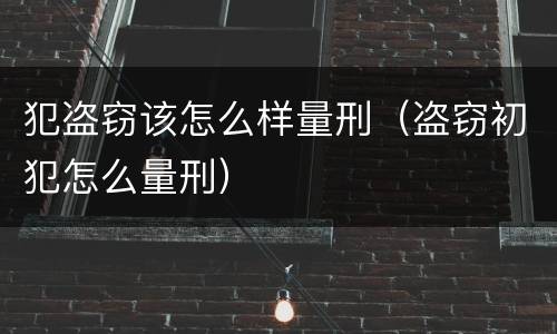 犯盗窃该怎么样量刑（盗窃初犯怎么量刑）
