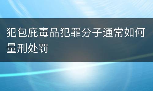 犯包庇毒品犯罪分子通常如何量刑处罚