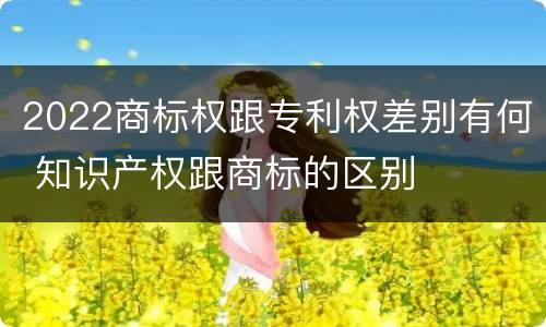 2022商标权跟专利权差别有何 知识产权跟商标的区别