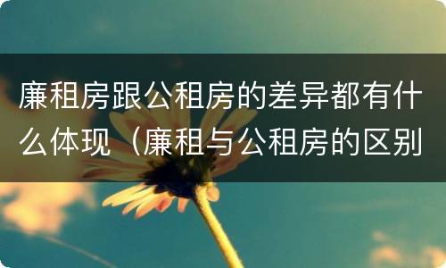 廉租房跟公租房的差异都有什么体现（廉租与公租房的区别）