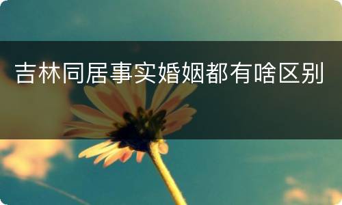 吉林同居事实婚姻都有啥区别