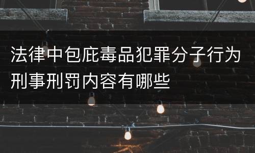 法律中包庇毒品犯罪分子行为刑事刑罚内容有哪些