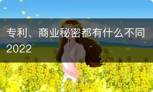 专利、商业秘密都有什么不同2022