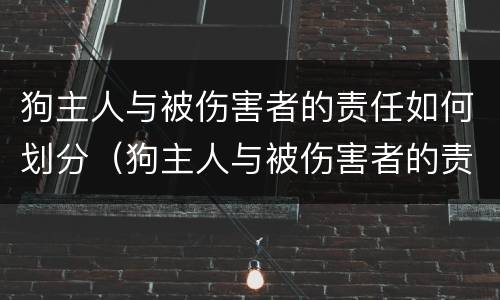 狗主人与被伤害者的责任如何划分（狗主人与被伤害者的责任如何划分）