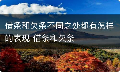 借条和欠条不同之处都有怎样的表现 借条和欠条