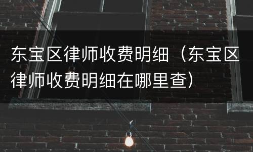 东宝区律师收费明细（东宝区律师收费明细在哪里查）