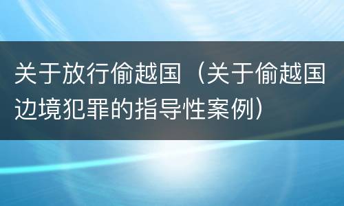 关于放行偷越国（关于偷越国边境犯罪的指导性案例）