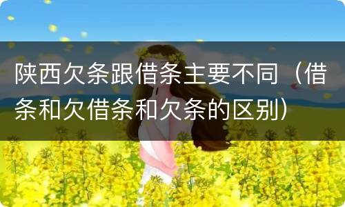 陕西欠条跟借条主要不同（借条和欠借条和欠条的区别）