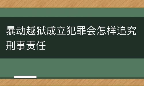 暴动越狱成立犯罪会怎样追究刑事责任