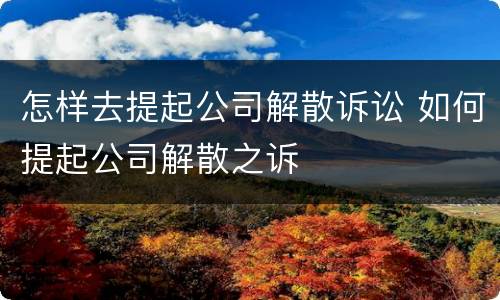 怎样去提起公司解散诉讼 如何提起公司解散之诉