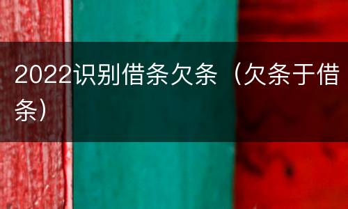 2022识别借条欠条（欠条于借条）
