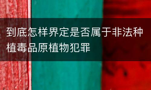 到底怎样界定是否属于非法种植毒品原植物犯罪