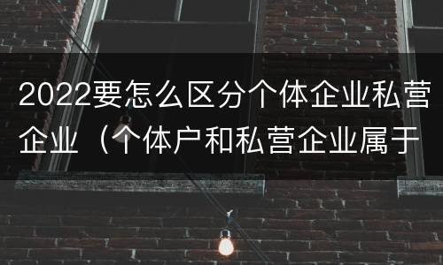 2022要怎么区分个体企业私营企业（个体户和私营企业属于）