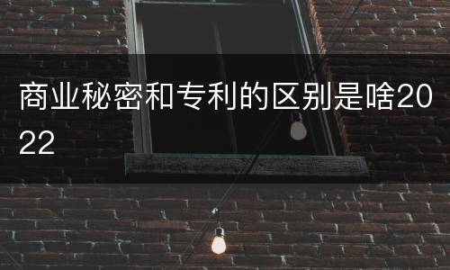 商业秘密和专利的区别是啥2022