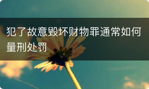 犯了故意毁坏财物罪通常如何量刑处罚