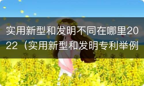 实用新型和发明不同在哪里2022（实用新型和发明专利举例）