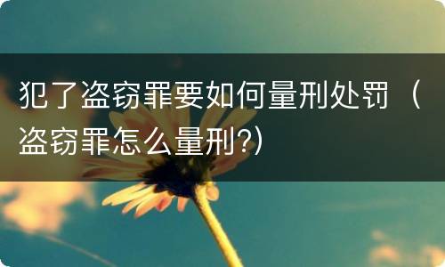 犯了盗窃罪要如何量刑处罚（盗窃罪怎么量刑?）