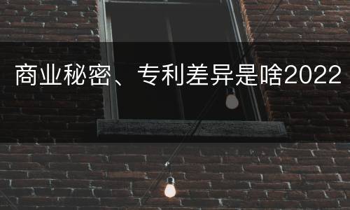 商业秘密、专利差异是啥2022