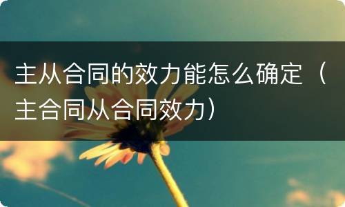 主从合同的效力能怎么确定（主合同从合同效力）