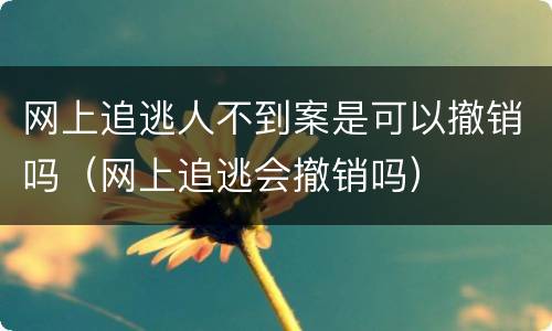 网上追逃人不到案是可以撤销吗（网上追逃会撤销吗）