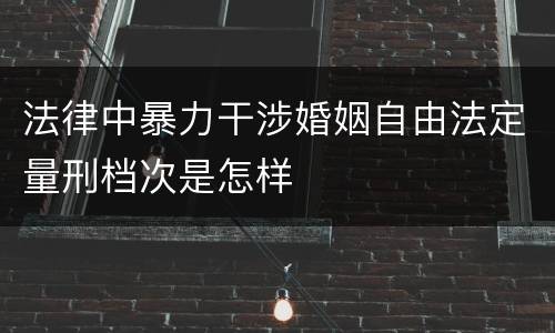 法律中暴力干涉婚姻自由法定量刑档次是怎样