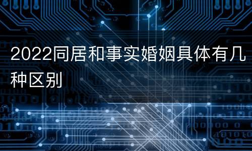 2022同居和事实婚姻具体有几种区别