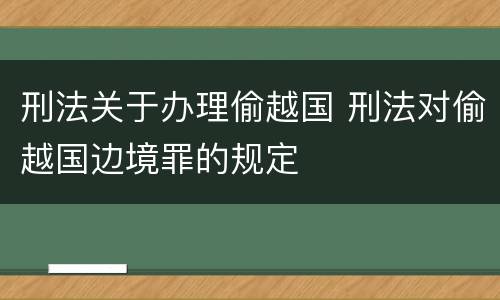刑法关于办理偷越国 刑法对偷越国边境罪的规定