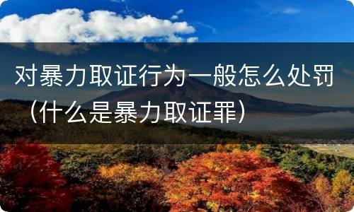 对暴力取证行为一般怎么处罚（什么是暴力取证罪）