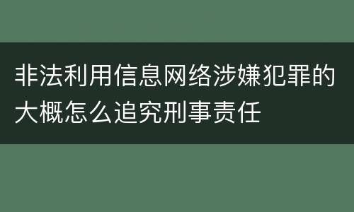 非法利用信息网络涉嫌犯罪的大概怎么追究刑事责任
