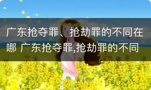 广东抢夺罪、抢劫罪的不同在哪 广东抢夺罪,抢劫罪的不同在哪查