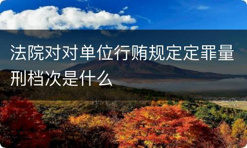 法院对对单位行贿规定定罪量刑档次是什么