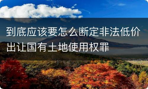 到底应该要怎么断定非法低价出让国有土地使用权罪