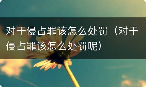 对于侵占罪该怎么处罚（对于侵占罪该怎么处罚呢）