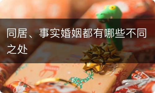 同居、事实婚姻都有哪些不同之处