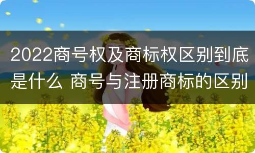 2022商号权及商标权区别到底是什么 商号与注册商标的区别