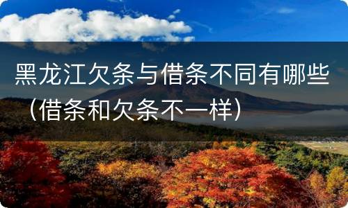 黑龙江欠条与借条不同有哪些（借条和欠条不一样）