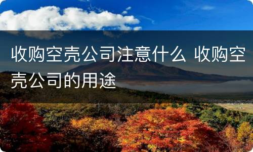 收购空壳公司注意什么 收购空壳公司的用途
