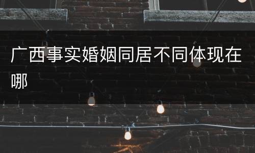 广西事实婚姻同居不同体现在哪