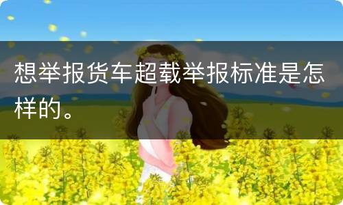 想举报货车超载举报标准是怎样的。